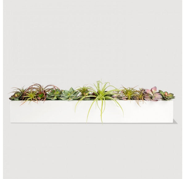 Desert Garden by Gold Leaf Design Group | Planters, Troughs & Cachepots | Modishstore-2