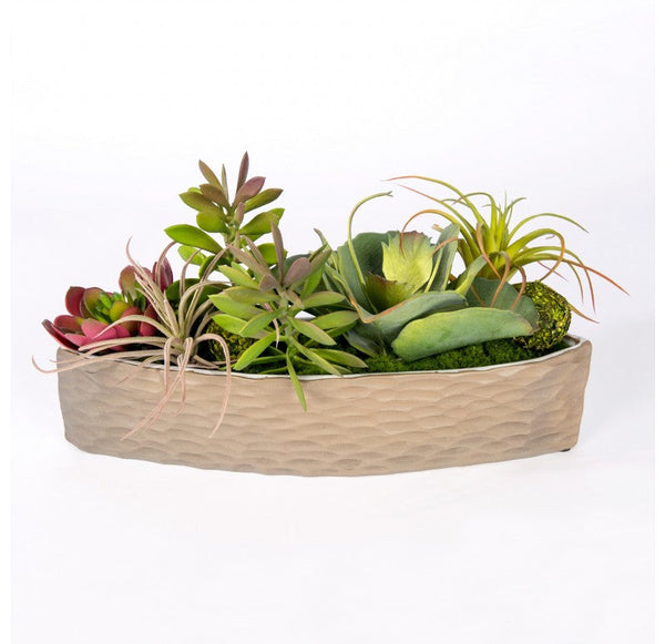 Succulent Mix in Hagi Planter by Gold Leaf Design Group | Planters, Troughs & Cachepots | Modishstore-3