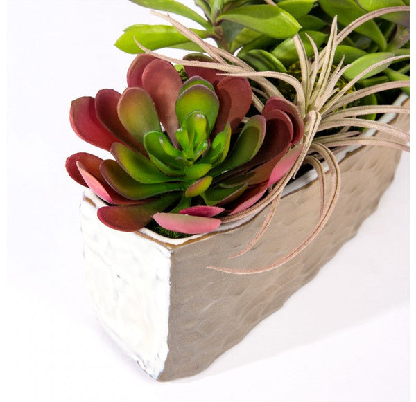 Succulent Mix in Hagi Planter by Gold Leaf Design Group | Planters, Troughs & Cachepots | Modishstore-5