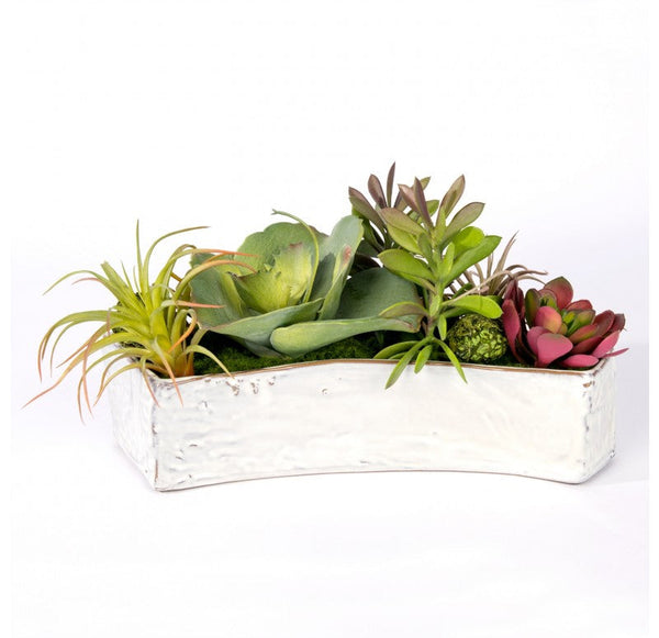 Succulent Mix in Hagi Planter by Gold Leaf Design Group | Planters, Troughs & Cachepots | Modishstore-2