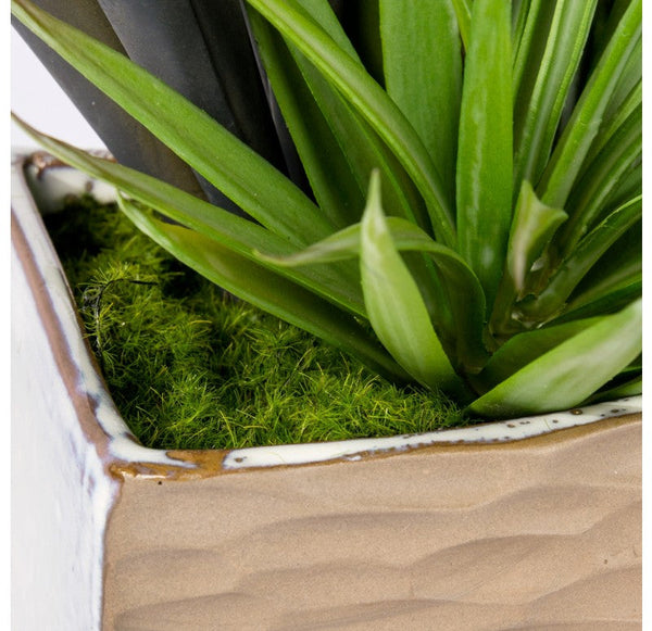 Metal Pitcher Plant in Hagi Planter by Gold Leaf Design Group | Planters, Troughs & Cachepots | Modishstore-6