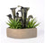 Metal Pitcher Plant in Hagi Planter by Gold Leaf Design Group | Planters, Troughs & Cachepots | Modishstore