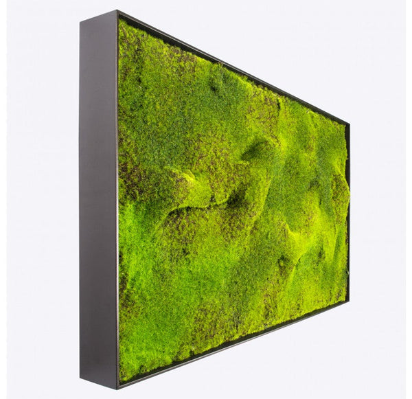 Green Wall, 'New Moss' by Gold Leaf Design Group | Green Wall | Modishstore-3