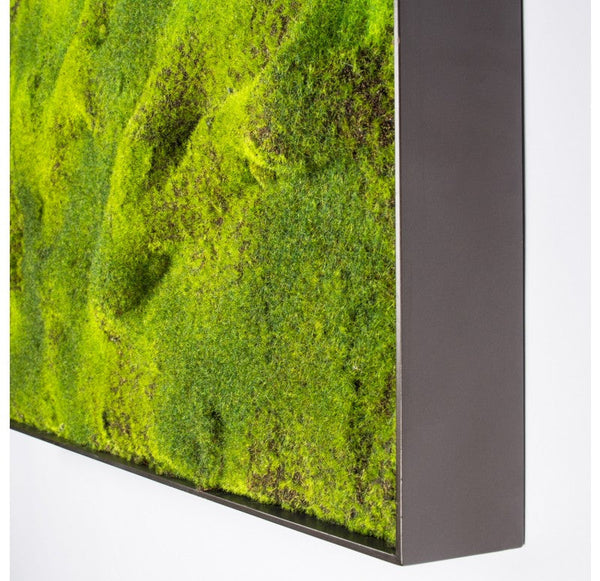 Green Wall, 'New Moss' by Gold Leaf Design Group | Green Wall | Modishstore-6