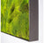 Green Wall, 'New Moss' by Gold Leaf Design Group | Green Wall | Modishstore-6