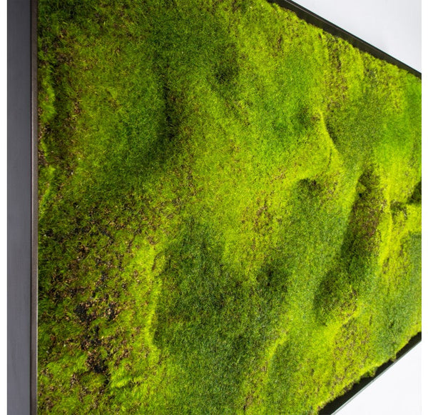 Green Wall, 'New Moss' by Gold Leaf Design Group | Green Wall | Modishstore-4