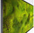 Green Wall, 'New Moss' by Gold Leaf Design Group | Green Wall | Modishstore-4