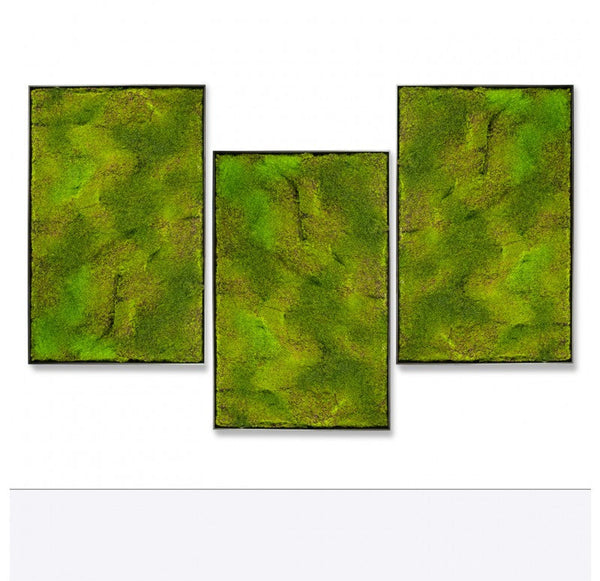 Green Wall, 'New Moss' by Gold Leaf Design Group | Green Wall | Modishstore-2