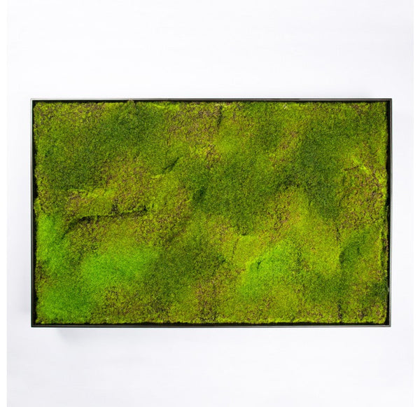 Green Wall, 'New Moss' by Gold Leaf Design Group | Green Wall | Modishstore