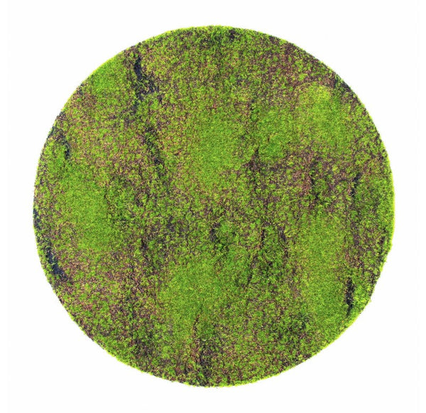 Green Wall, 'New Moss', Disc by Gold Leaf Design Group | Green Wall | Modishstore-2