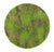 Green Wall, 'New Moss', Disc by Gold Leaf Design Group | Green Wall | Modishstore-2