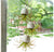 Hanging Resin Pod, Tillandsia Air Plant (Set of 6) by Gold Leaf Design Group | Planters, Troughs & Cachepots | Modishstore