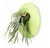 Green Wall Substrate, Staghorn & Air Plants by Gold Leaf Design Group | Green Wall | Modishstore
