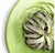 Green Wall Substrate, Staghorn & Air Plants by Gold Leaf Design Group | Green Wall | Modishstore-5