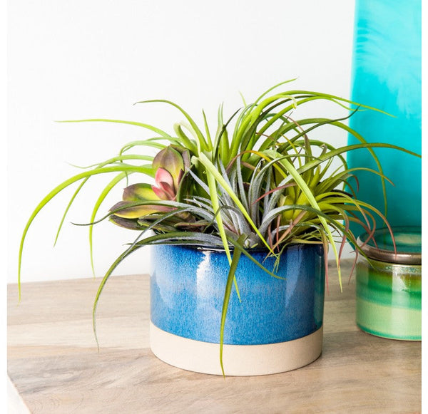 Urban Mix in Geode Planter by Gold Leaf Design Group | Planters, Troughs & Cachepots | Modishstore