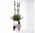 Grass: Liriope & Totems in Stainless Polygon Planters by Gold Leaf Design Group | Planters, Troughs & Cachepots | Modishstore-4