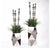 Grass: Liriope & Totems in Stainless Polygon Planters by Gold Leaf Design Group | Planters, Troughs & Cachepots | Modishstore