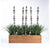 Grass: Liriope & Totems in Custom Rectangle Planter by Gold Leaf Design Group | Planters, Troughs & Cachepots | Modishstore-2