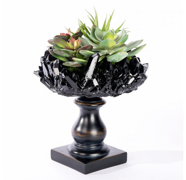 Succulent Mix on Crystal Pedestal by Gold Leaf Design Group | Botanicals | Modishstore-4