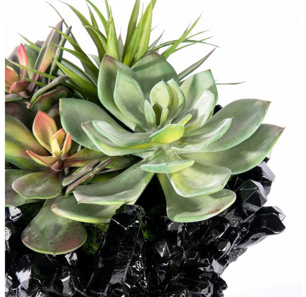 Succulent Mix on Crystal Pedestal by Gold Leaf Design Group | Botanicals | Modishstore-6