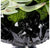 Succulent Mix on Crystal Pedestal by Gold Leaf Design Group | Botanicals | Modishstore-7