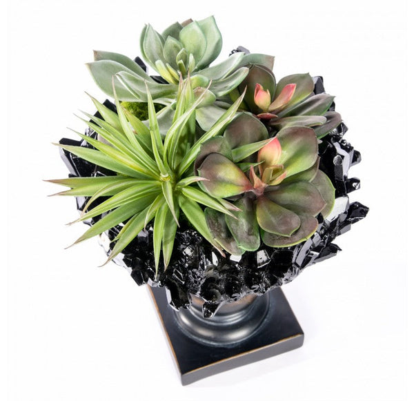Succulent Mix on Crystal Pedestal by Gold Leaf Design Group | Botanicals | Modishstore-8