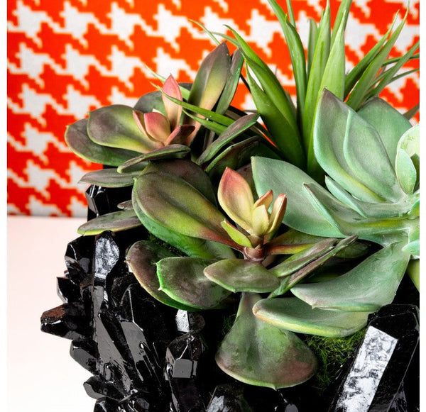 Succulent Mix on Crystal Pedestal by Gold Leaf Design Group | Botanicals | Modishstore-2