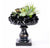 Succulent Mix on Crystal Pedestal by Gold Leaf Design Group | Botanicals | Modishstore-5