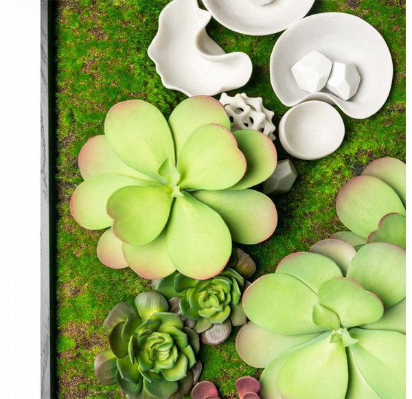 Green Wall, Succulents and Wall Play by Gold Leaf Design Group | Green Wall | Modishstore-3