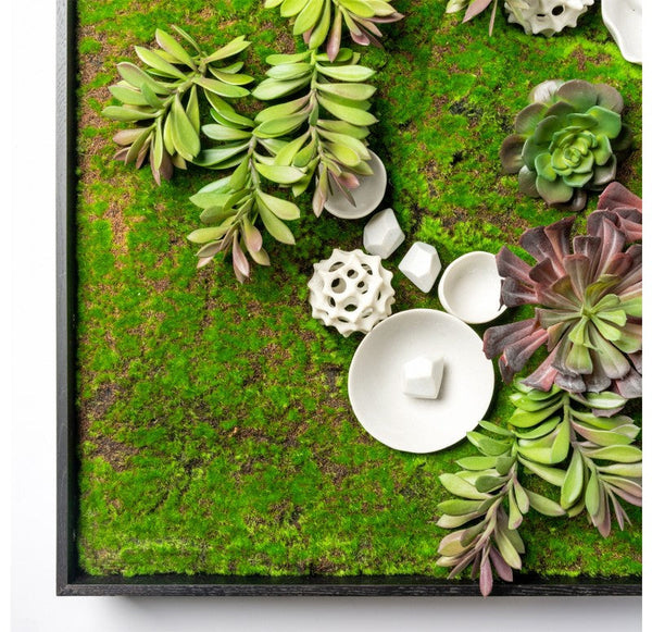 Green Wall, Succulents and Wall Play by Gold Leaf Design Group | Green Wall | Modishstore-6