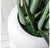 Aloe in Naoshima Planter by Gold Leaf Design Group | Planters, Troughs & Cachepots | Modishstore-2