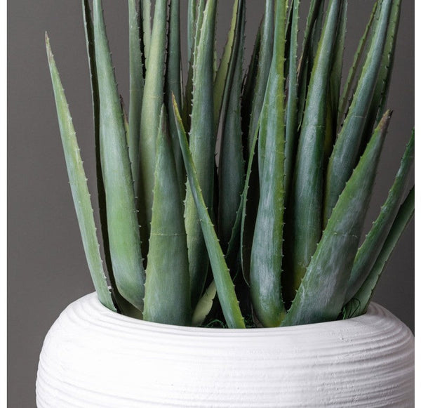 Aloe in Naoshima Planter by Gold Leaf Design Group | Planters, Troughs & Cachepots | Modishstore-3