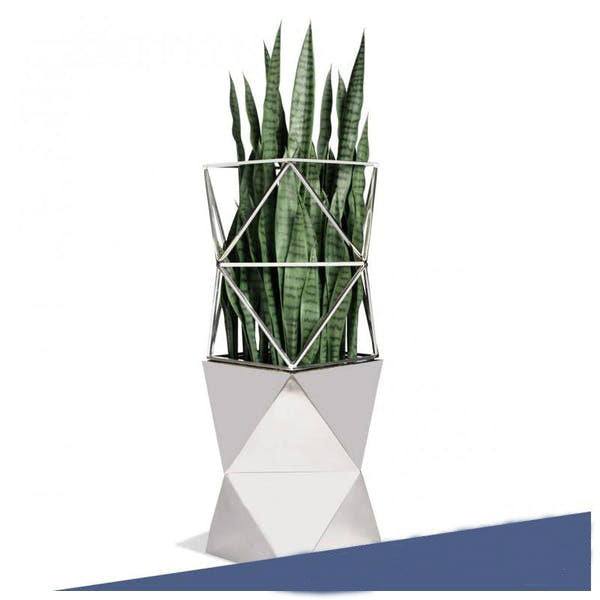 Sansevieria w/ Trellis in Stainless Polygon Planter by Gold Leaf Design Group | Planters, Troughs & Cachepots | Modishstore-6