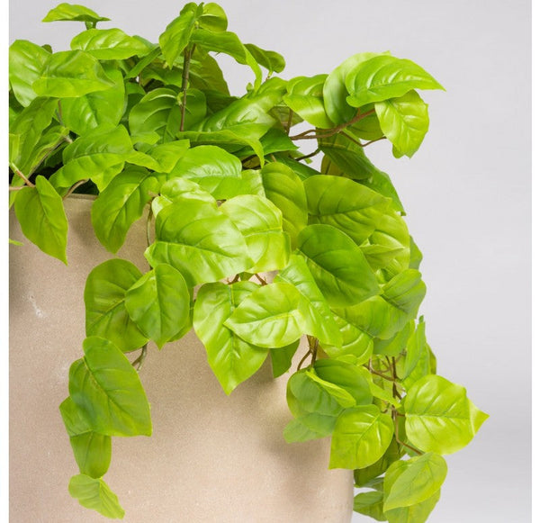Philodendron in Urbano Bell Planter by Gold Leaf Design Group | Outdoor Planters, Troughs & Cachepots | Modishstore-3