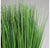 Grass: Outdoor in Urbano Cube by Gold Leaf Design Group | Outdoor Planters, Troughs & Cachepots | Modishstore-3