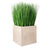 Grass: Outdoor in Urbano Cube by Gold Leaf Design Group | Outdoor Planters, Troughs & Cachepots | Modishstore