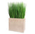 Grass: Outdoor in Urbano Rectangle by Gold Leaf Design Group | Planters, Troughs & Cachepots | Modishstore