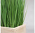 Grass: Outdoor in Urbano Rectangle by Gold Leaf Design Group | Planters, Troughs & Cachepots | Modishstore-3