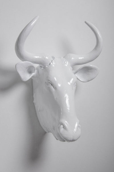 Interior Illusions Wild Beast Head Taxidermy