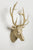 Interior Illusions Deer Head Taxidermy (Gold Version)