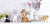 Interior Illusions Plus White Flower Vase Grip Hand - 7