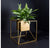 Floating Gold Cube Planter by Gold Leaf Design Group | Outdoor Planters, Troughs & Cachepots | Modishstore