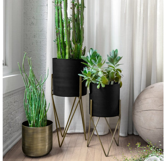 Amy Planter with Stand, Black by Gold Leaf Design Group | Planters, Troughs & Cachepots | Modishstore