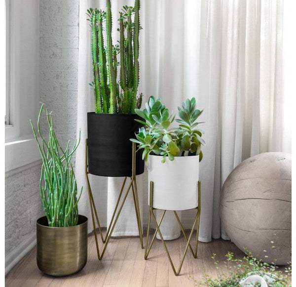 Amy Planter with Stand, Black by Gold Leaf Design Group | Planters, Troughs & Cachepots | Modishstore-10