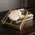 Fossilized Clam Glass Display Box by Napa Home and Garden