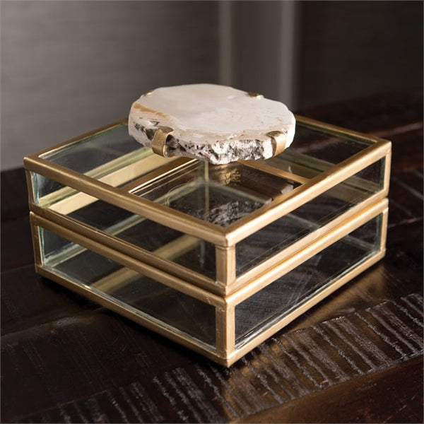 Fossilized Clam Glass Display Box by Napa Home and Garden