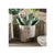 Seabrook Pot -6 Pcs by Napa Home & Garden