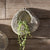 Seabrook Wall Planter By Napa Home & Garden