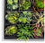 Green Wall, Pixelated Succulent by Gold Leaf Design Group | Green Wall | Modishstore-12