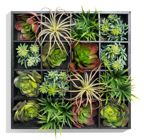 Green Wall, Pixelated Succulent by Gold Leaf Design Group | Green Wall | Modishstore-8